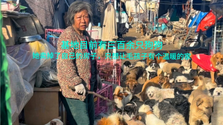 【ฐานช่วยเหลือสุนัขจรจัดหวังฟาง】กำลังโหลดวิดีโอ รีบตามไปดูเซอร์ไพรส์กันเลย!