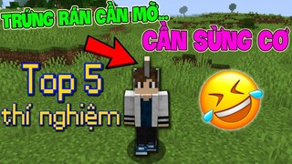 VINH MỌC SỪNG?!! - Top 5 Thí Nghiệm Thú Vị Và Hay Trong Minecraft 1.16