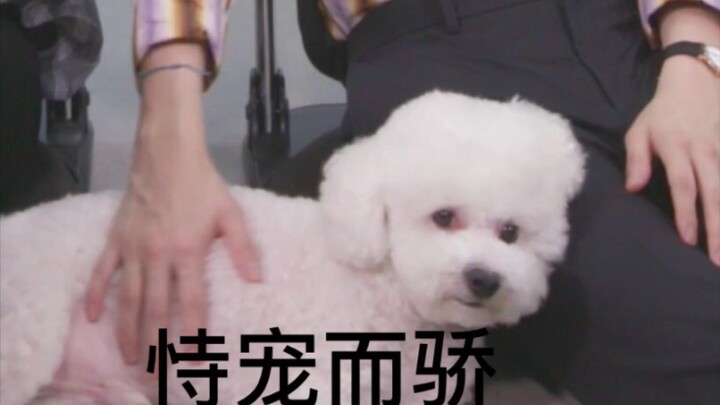 When Vivi heard what a life