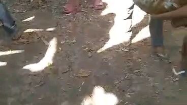 Pitmaster Underground Kings