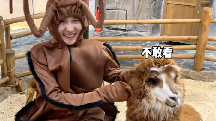 นี่คือบริการยิ้มที่ทรงพลังแห่งชีวิตอย่างแท้จริง