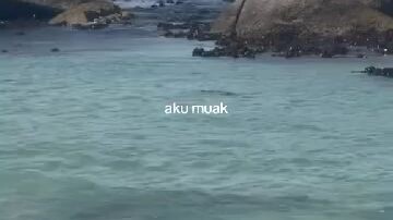 perasaan ga buka tiktok