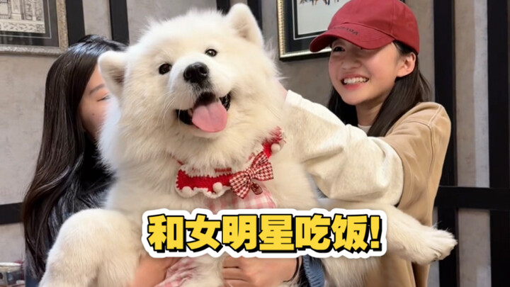 Taking the puppy out to eat with a famous actress!