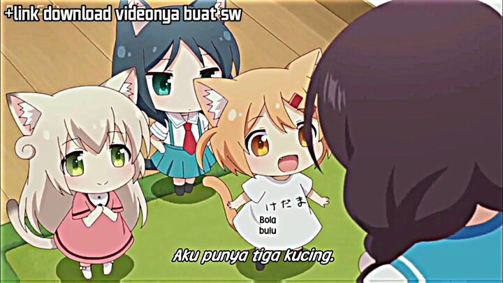Tingkah Laku imut 3 Kucing Loli   Story WhatsApp  Jedag Jedug Anime Nyanko Da