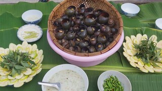 ĐÃ THEM ỐC BƯƠU ĐEN HẤP XÃ CHẤM CƠM MẺ /ATQNTV T58