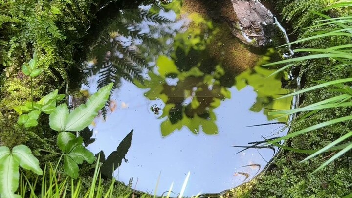 Automatic water storage in summer