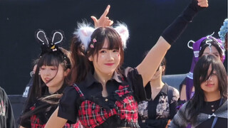 Q弹小弹簧上线！！