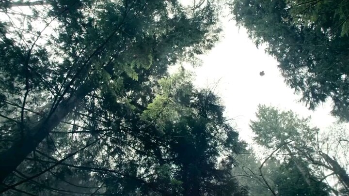 avatar kyoshi the last Airbenders