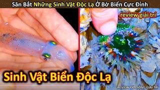 Hảo Hán Review Khám Phá Và Săn Bắt Sinh Vật Biển Độc Lạ Cực Thú Vị || Review Giải Trí Đời Sống