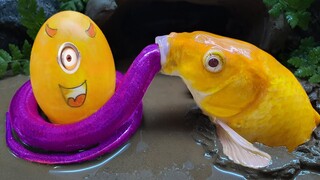 Stop Motion ASMR Menangkap ikan koi mas lele Hewan hias Menemukan Mainan Belut Bawah Lumpur Primitif