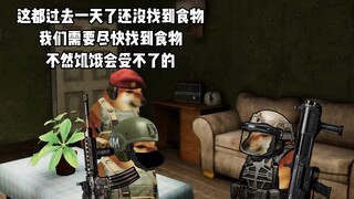 护航看主页