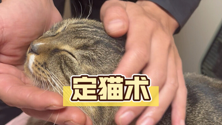 The long-lost cat-summoning technique