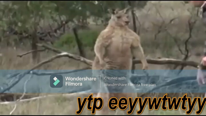 NANI! Meme Compilation [Part 5]