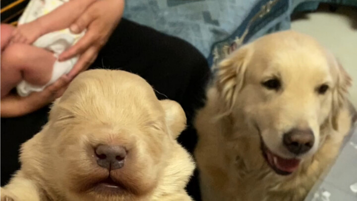 Gue gak nyangka selama masa nifas bisa gemuk 10 kilo hahaha