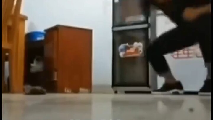 Chiến dịch diệt chuột: Trung Quốc vs nước ngoài