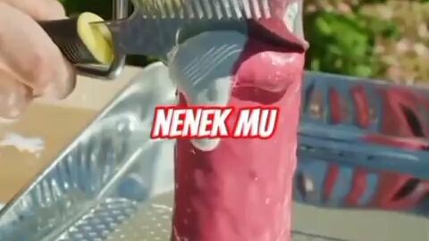 fakta penting banget kok:)