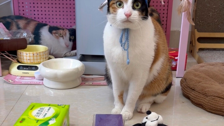 I feel like it’s about to figure it out.