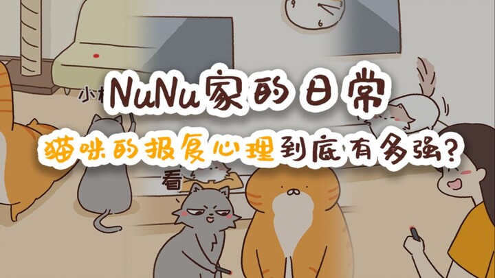 NuNu家的日常 论猫咪的报复心理到底有多强！