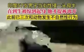 Mengguncang dunia! San Ge dan Niu kembali naik peringkat