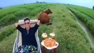 chill guy