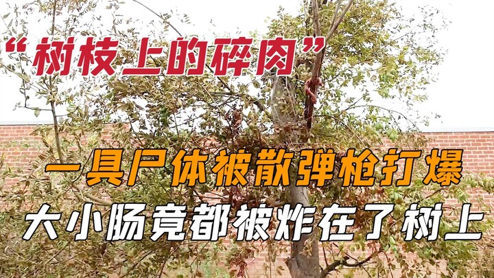 Thi thể bị súng săn bắn nát, ruột non và ruột già đều văng tung tóe lên cây, hiện trường vô cùng thê