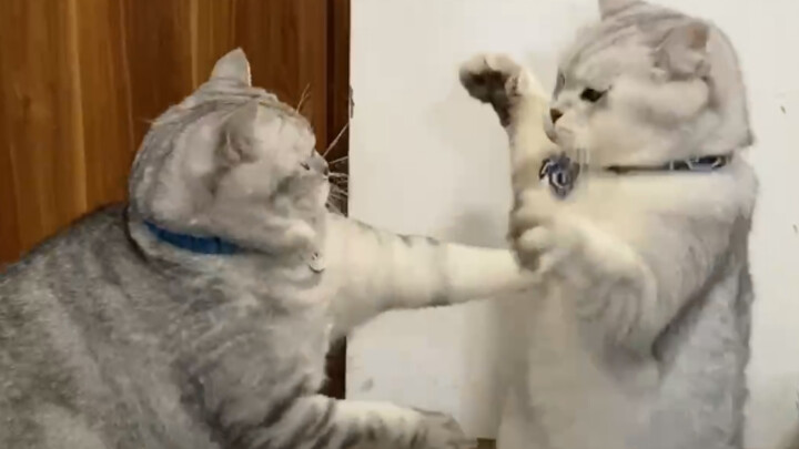 يبدو أن الإمساك معدي حقًا، طلبتُ بالفعل 20 زجاجة من ملين البراز…