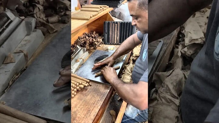 [The Stogie Life] ปรมาจารย์ผู้เชี่ยวชาญด้านการม้วนซิการ์ในซิการ์อันเป็นเอกลักษณ์ของเขา