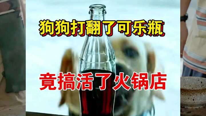 Chú chó vô tình làm đổ chai Coca, chẳng ngờ lại cứu sống cả quán lẩu!