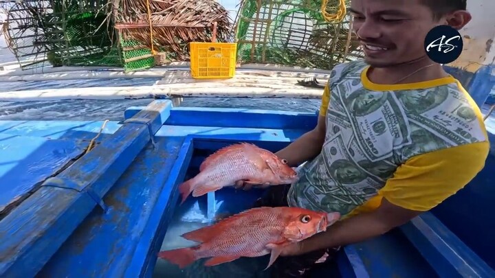Hinango At Inilipat Lahat Ng Malalaking Trap Sa Bagong Spot