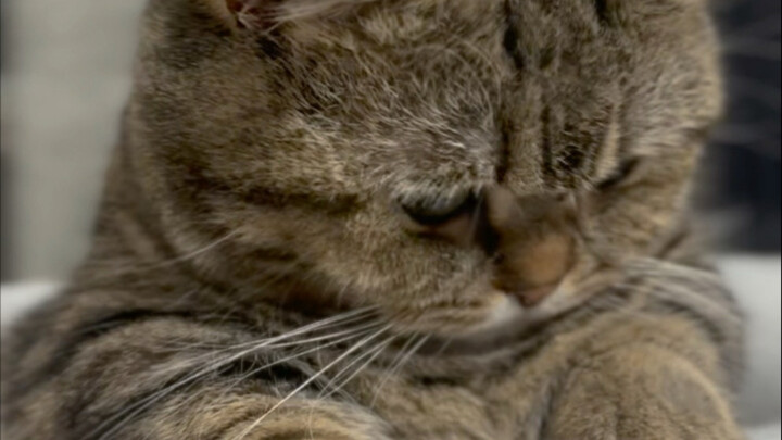 قال المعلّم إنه أطيب طفل في الروضة.