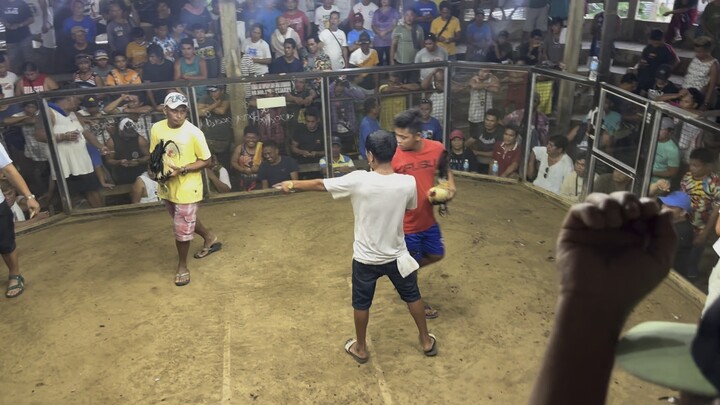 Di lumusot ang talisay natin mga boss