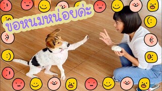 โลกของแสนดี ตอน หิวซาลาเปา