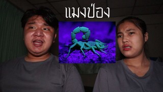 พวกเราซื้อ แมงป่อง มาจาก Dark Web! | หลอนดาร์กเว็บ EP.28