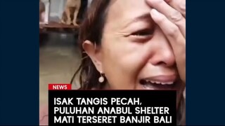 Shelter MyBaliDogsRescue di Bali porak-poranda diterjang banjir besar. Seluruh tempat penampungan te