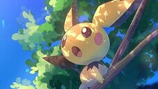 Pokemon - Pichu to Pikachu