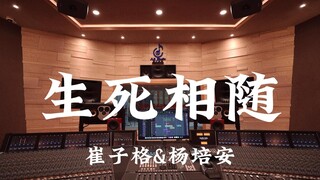 在百万豪装录音棚大声听 崔子格&杨培安《生死相随》【Hi-res】