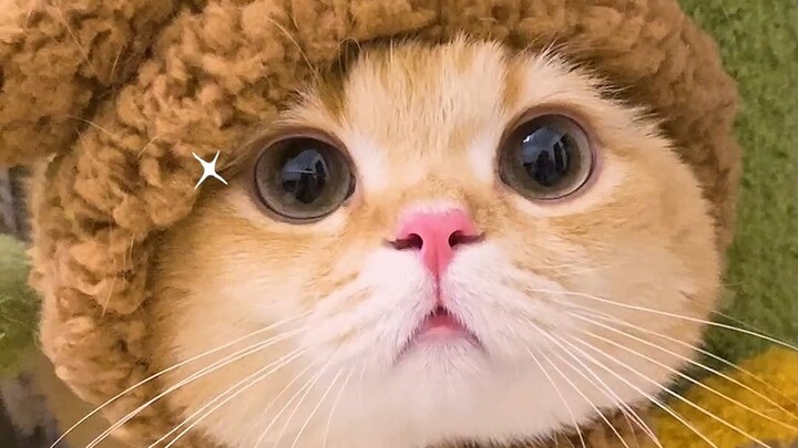 Is there really anyone who would ignore me?