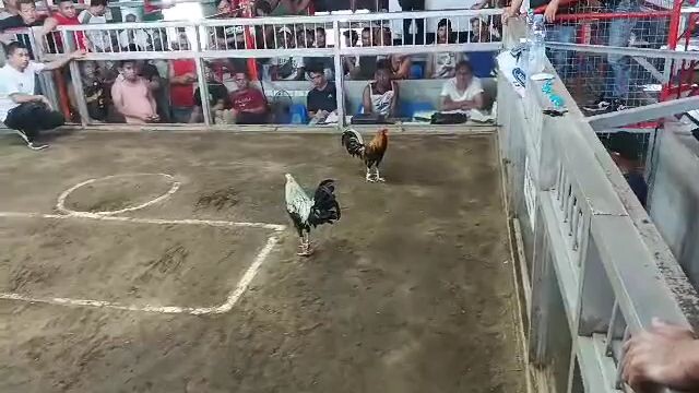 win👍