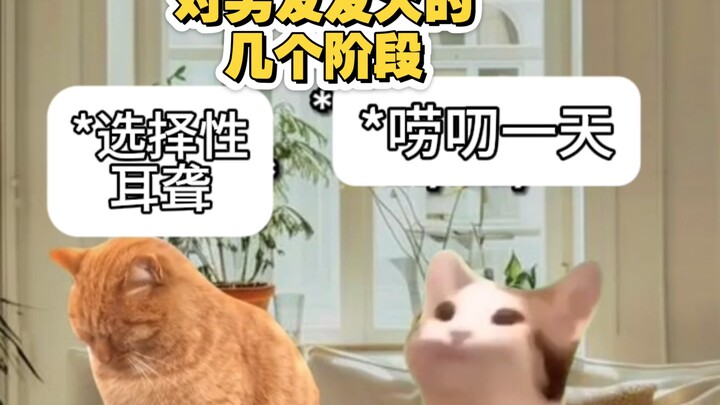 The Stages of Getting Angry at Your Boyfriend (Cat Meme)