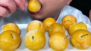 Makan Plum Emas Beku, Dengarkan Suara Plum Emas Beku!