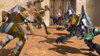 Melee Only! Halo 2 Jackals VS. Halo 3 Grunts