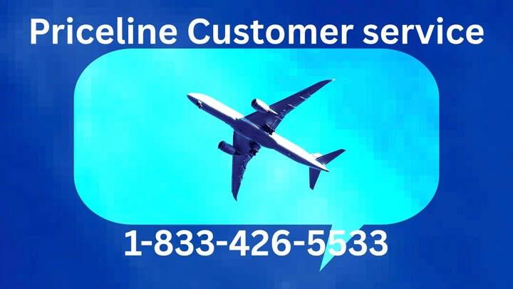 31 Ways To Contact United Airlines Customer Service By Phone, Chat and Email Options: Quick Tips