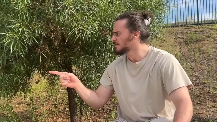 يا أطفال، الفصام ليس شيئًا يُضحَك عليه!