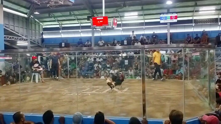 Imus new cockpit arena 2nd fight win november 11 2023 duoble champion 2 hits WWWW receod