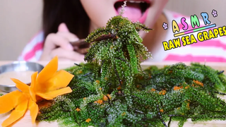 ASMR RAW SEA GRAPES EXTREME CRUNCH EATING SOUNDS องุ่นทะเลดิบ ASMR LINH-ASMR
