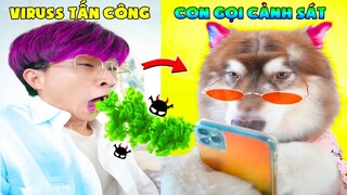 Thú Cưng Vlog | Ngáo Husky Troll Bố #23 | Chó husky thông minh vui nhộn | Smart dog funny pets