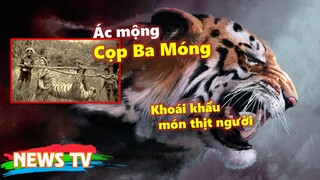 Ác mộng "Cọp Ba Móng" Việt Nam - Khoái khẩu món thịt người