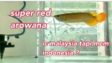 unboxing!! super red dari malaysia tapi mcm dari indonesiaa