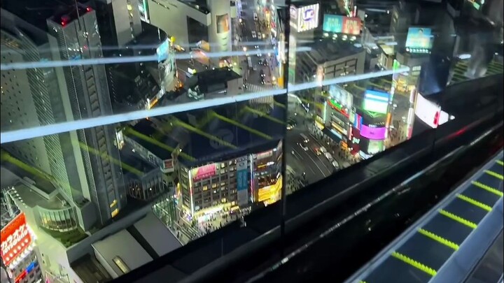 Jepang | Shibuya Sky | Dunia di Atas Cahaya Neon