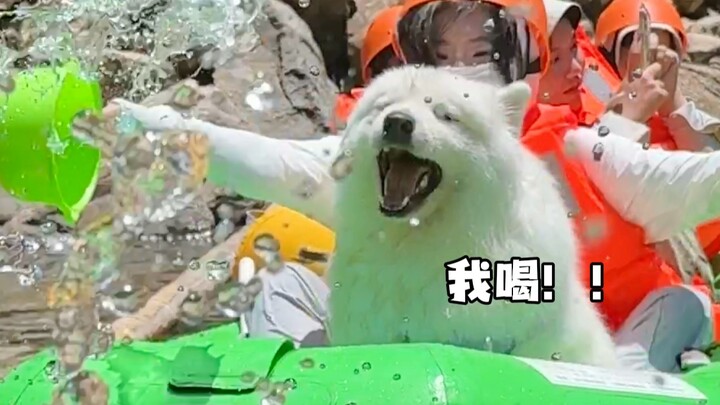 Trải nghiệm trôi sông cùng cún con là như thế nào?